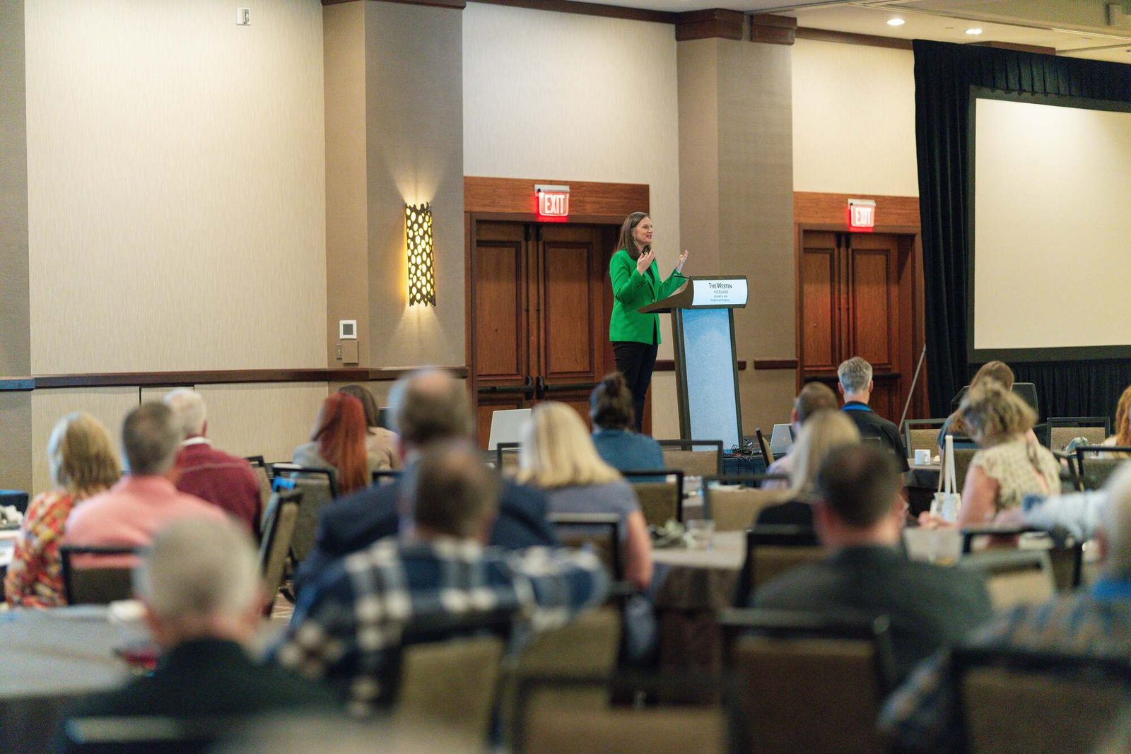 A speaker presenting to LPG members